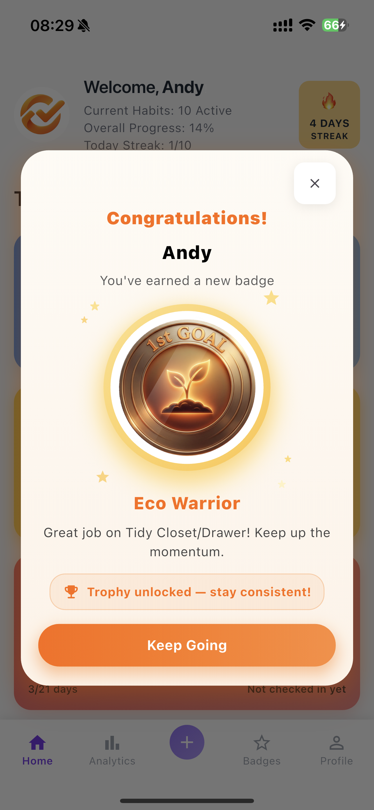 Streak21 analytics view